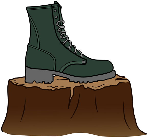 Wayne Stone Logging, Inc