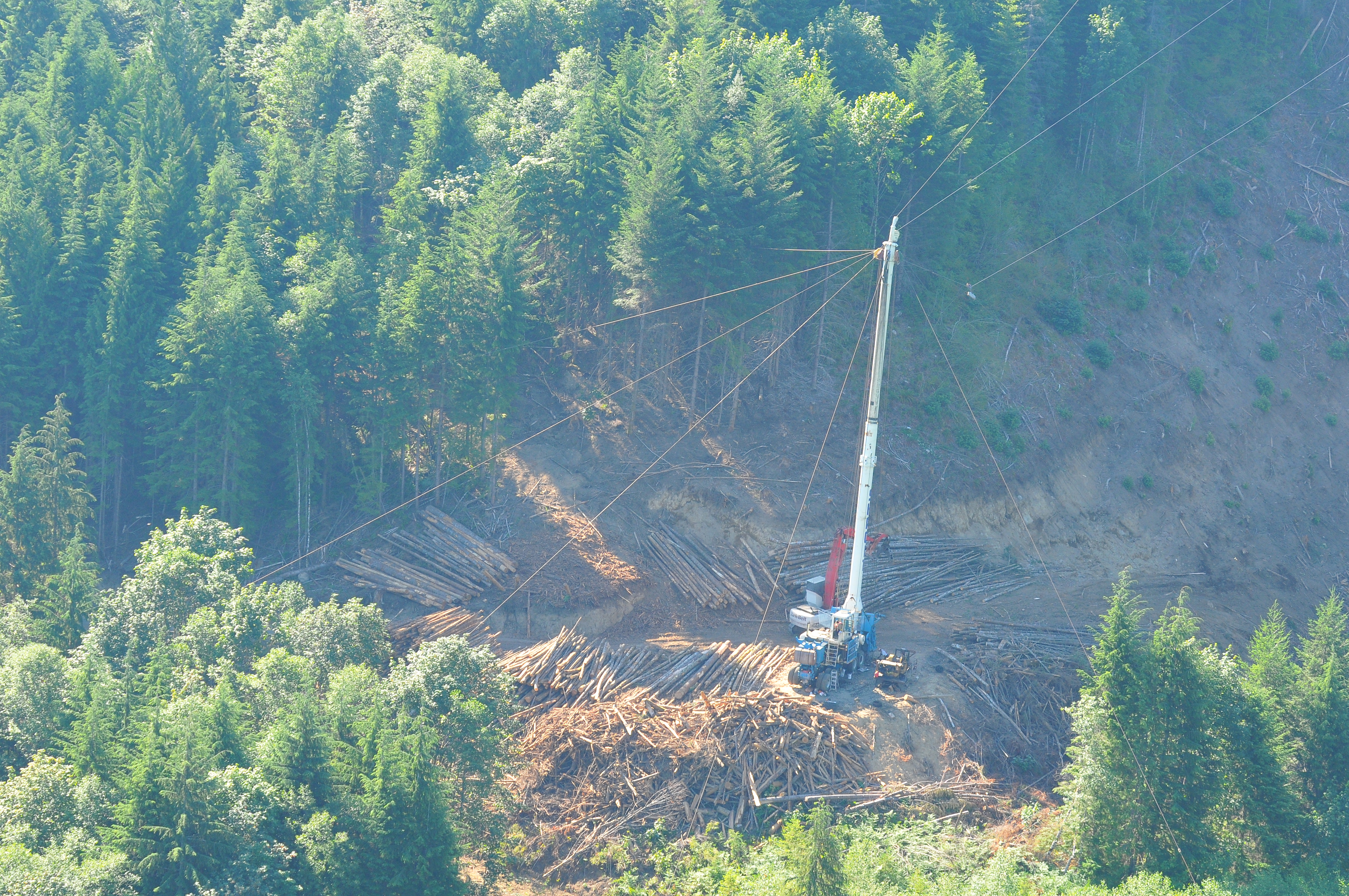 Contact Wayne Stone Logging - SW Washington and NW Oregon